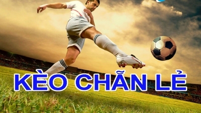 Kèo chẵn lẻ - Cách tính toán tổng số bàn để thắng cược